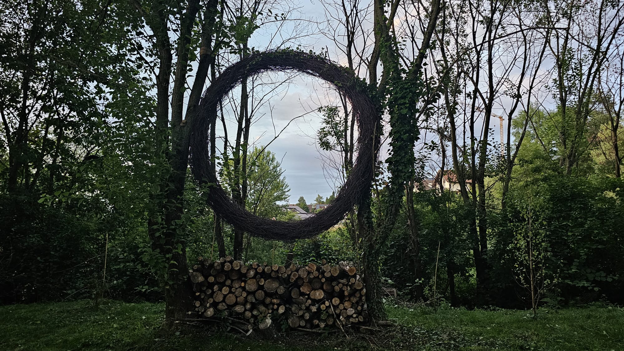 Ein Ring im Wald