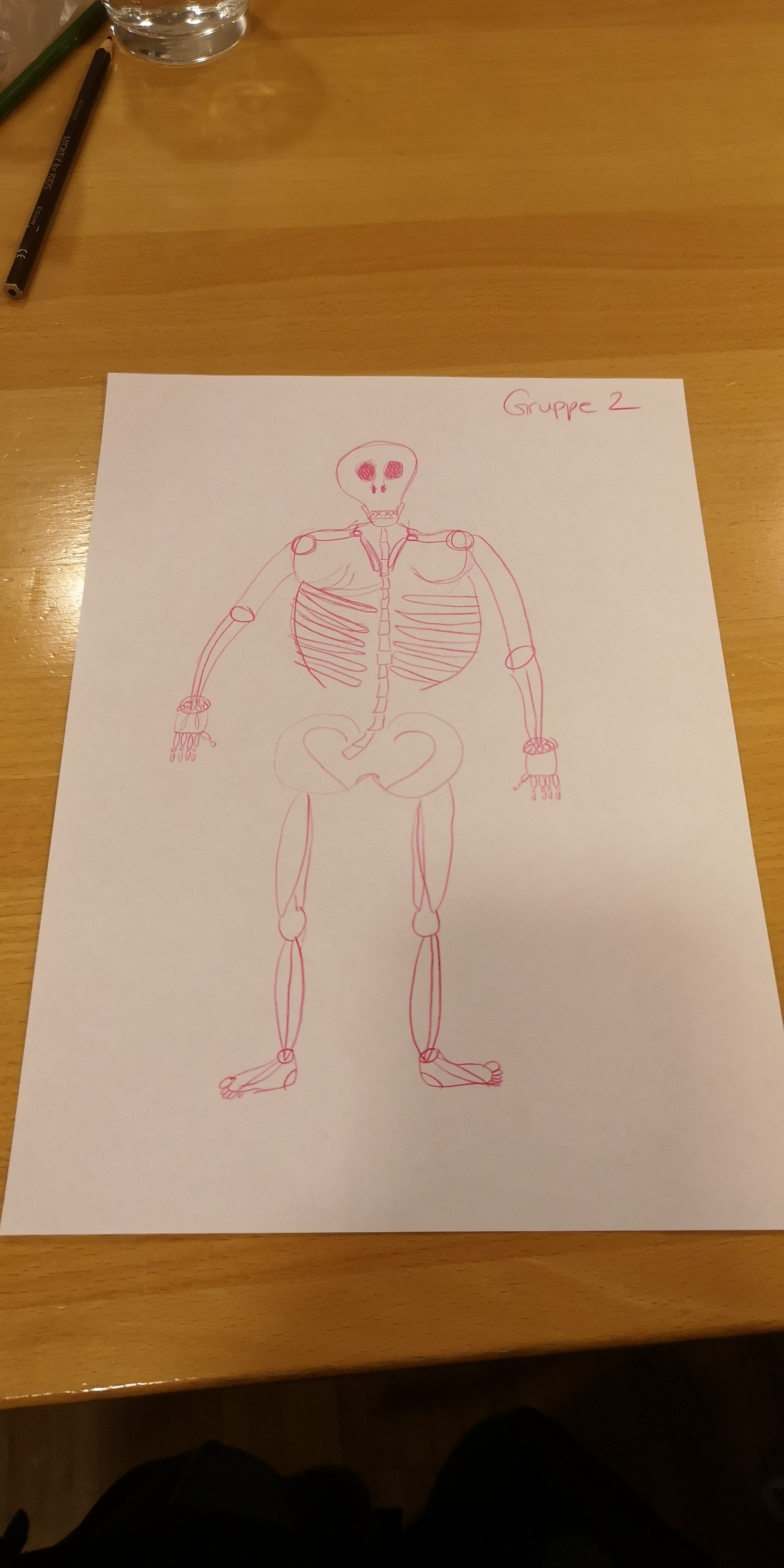 Die Zeichnung eines Skeletts